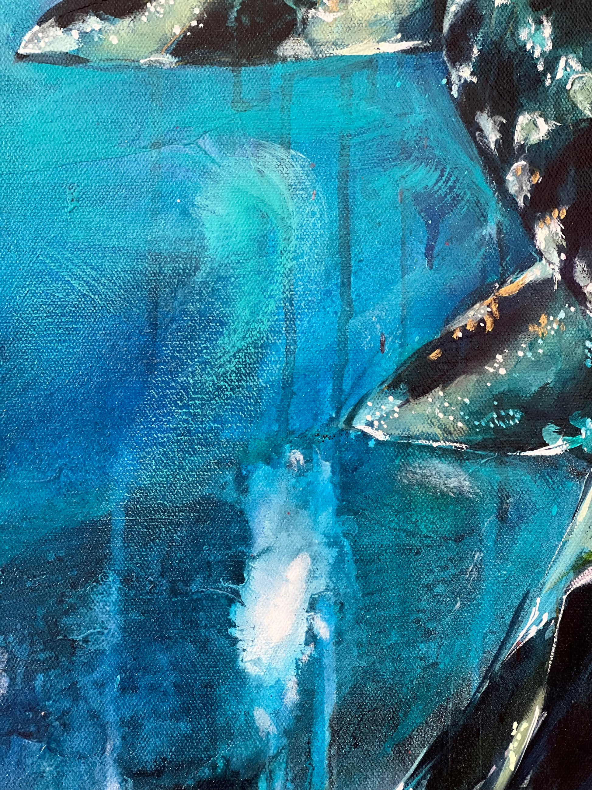 WOBBEGONG - MR PERSONALITY