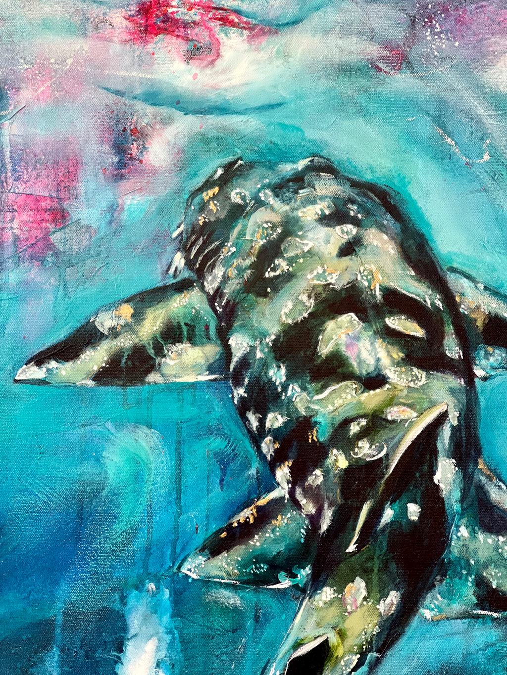 WOBBEGONG - MR PERSONALITY