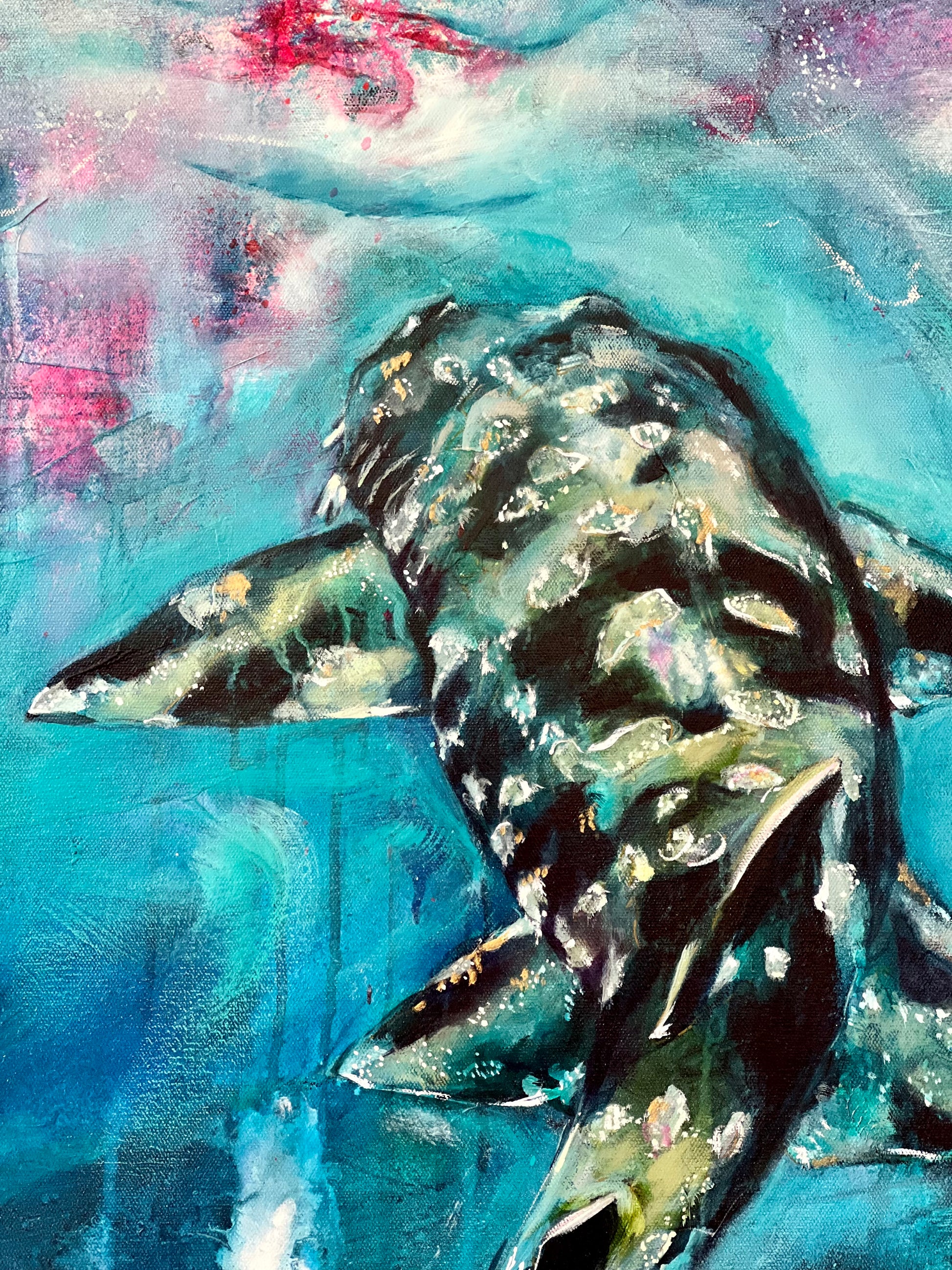 WOBBEGONG - MR PERSONALITY