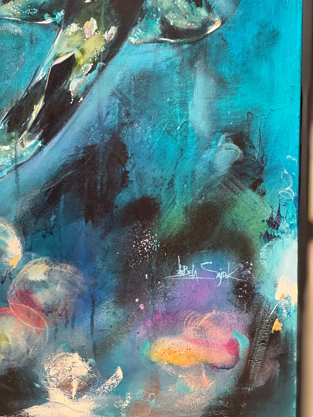 WOBBEGONG - MR PERSONALITY