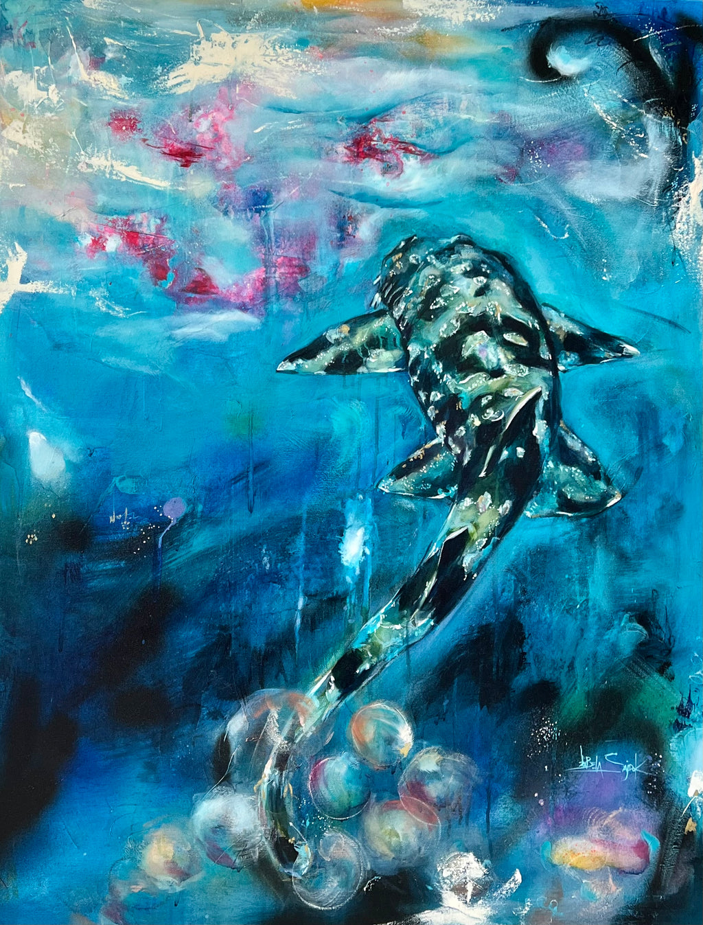 WOBBEGONG - MR PERSONALITY